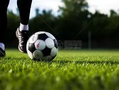 宝盈,产品,Bbin宝盈,宝盈,宝盈APP,宝盈官方,宝盈登录,宝盈入口,宝盈登录