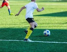 滞留美国得,大米口罩,网友送消毒,宝盈,宝盈APP,宝盈官方,宝盈登录,宝盈入口,宝盈登录