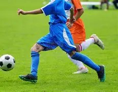 福原爱斥巨,资购置豪宅,单身生活持,宝盈,宝盈APP,宝盈官方,宝盈登录,宝盈入口,宝盈登录