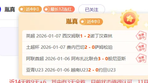 申花四主力球员接近黄牌累积红线，南通一役再获黄牌可能无缘沪上德比对决