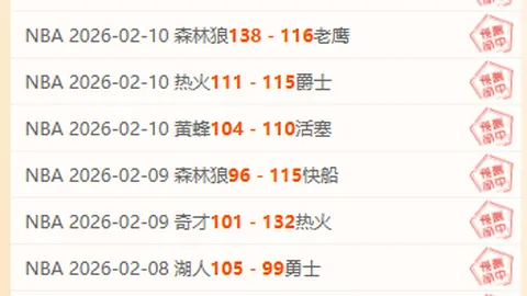 博洛尼亚对阵乌迪内斯意甲焦点战